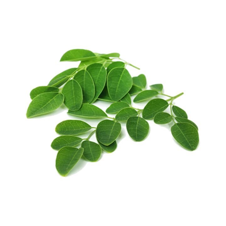 Normadex contains moringa leaves, a powerful natural remedy against parasites
